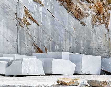 Цзянсу Синьешэн Скульптура Лтд.